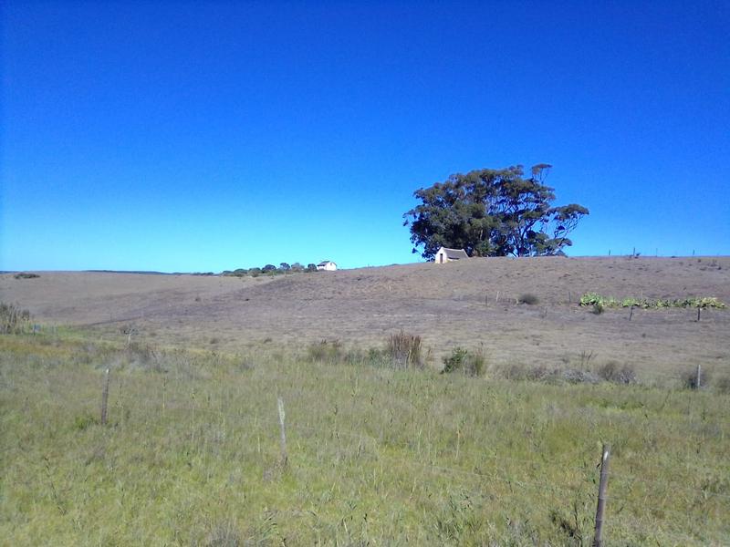 0 Bedroom Property for Sale in Stilbaai Rural Western Cape